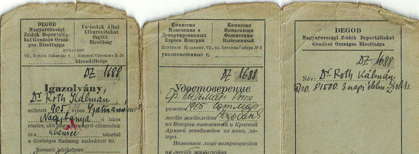Dr. Roth Kalman DEBOG hazautazási engedélye